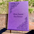 GIVE JESUS THE REINS