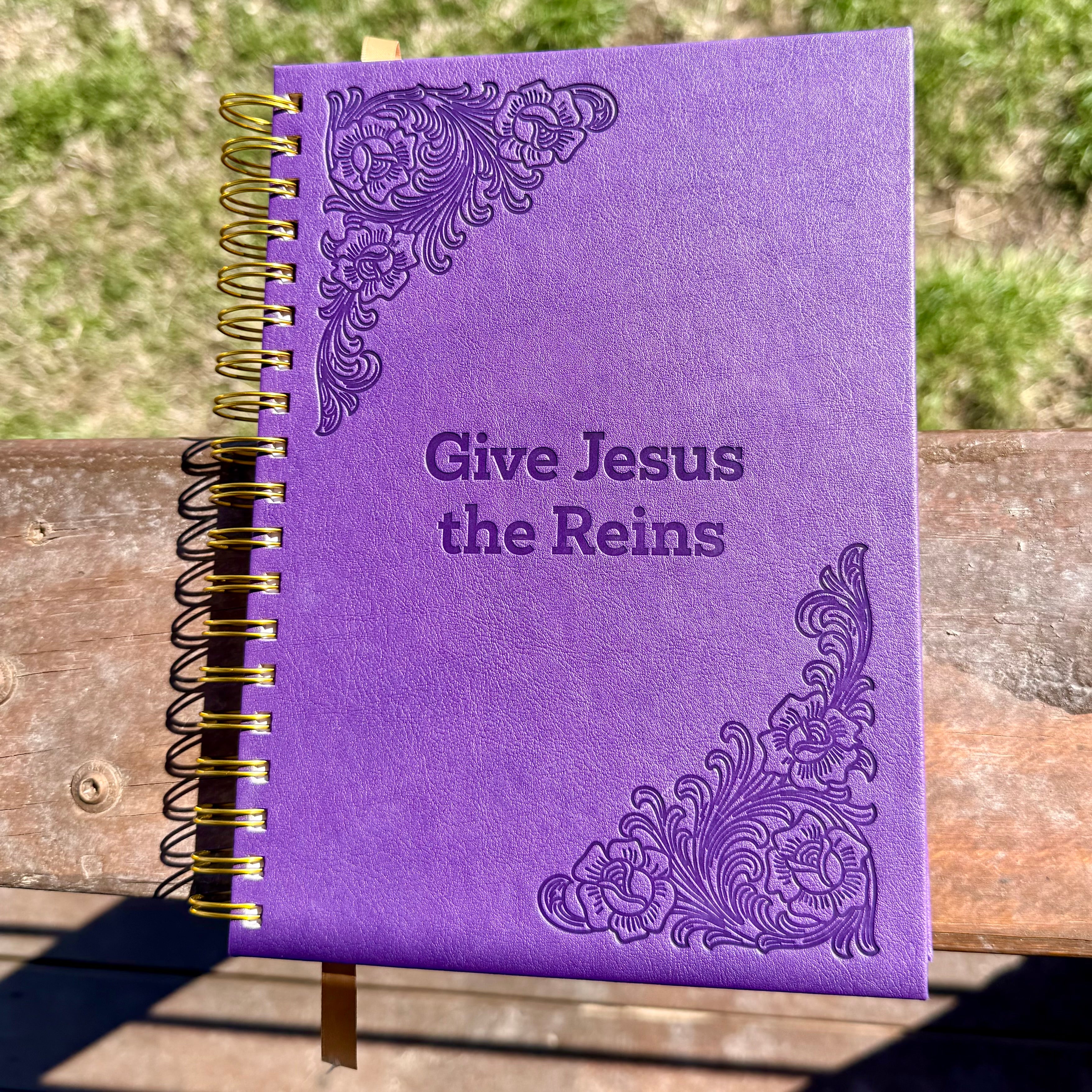 GIVE JESUS THE REINS