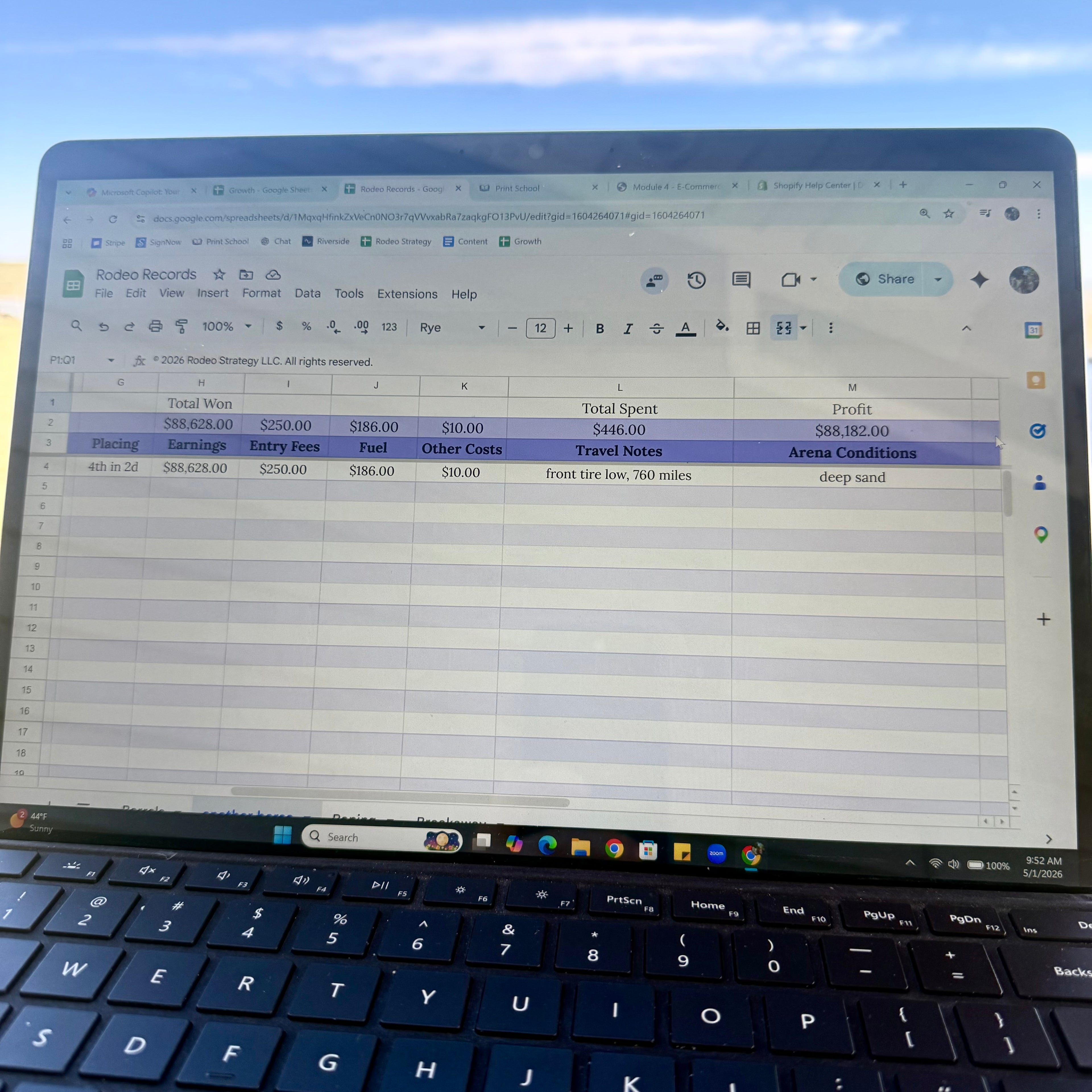 Rodeo Records | Performance & Earnings Tracker