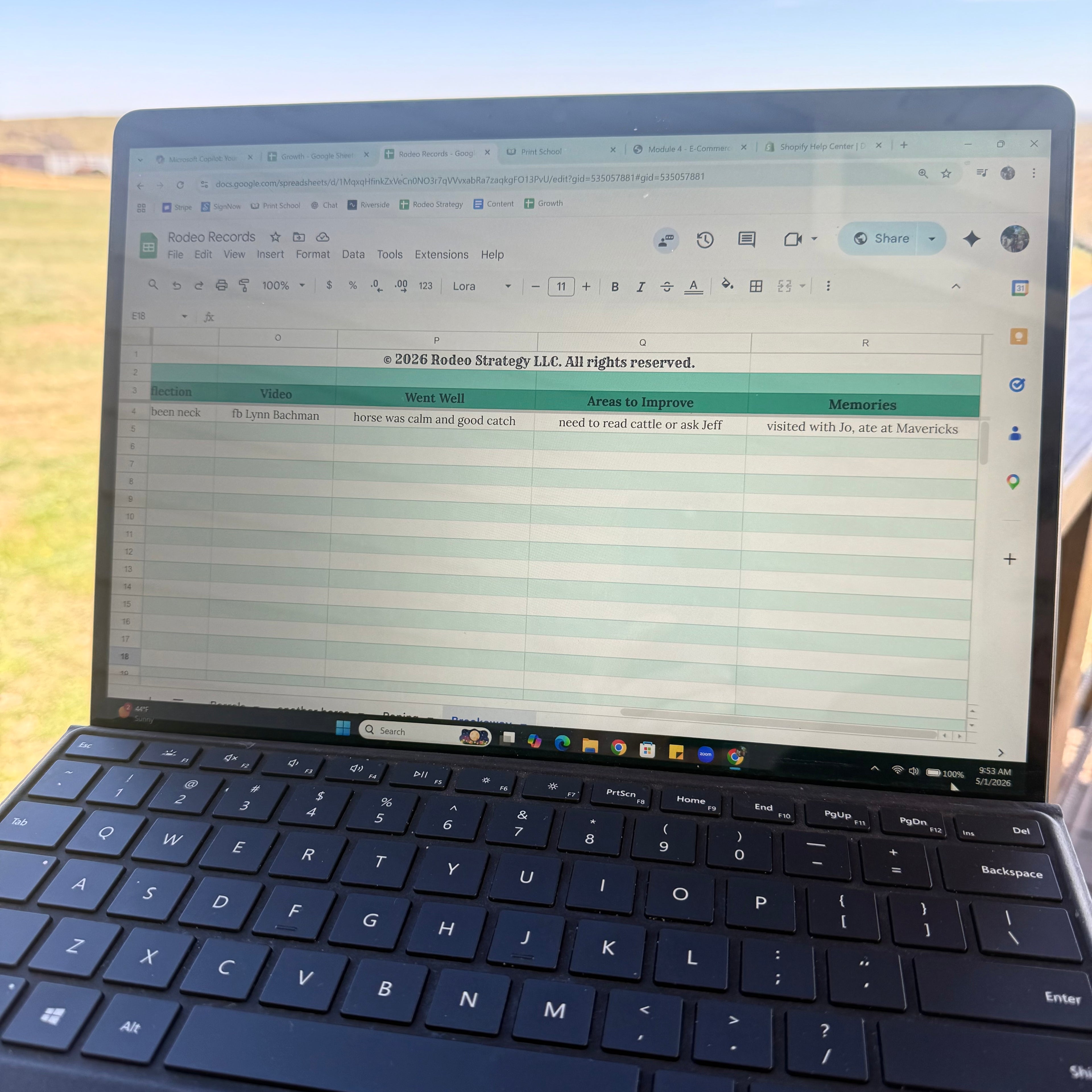 Rodeo Records | Performance & Earnings Tracker