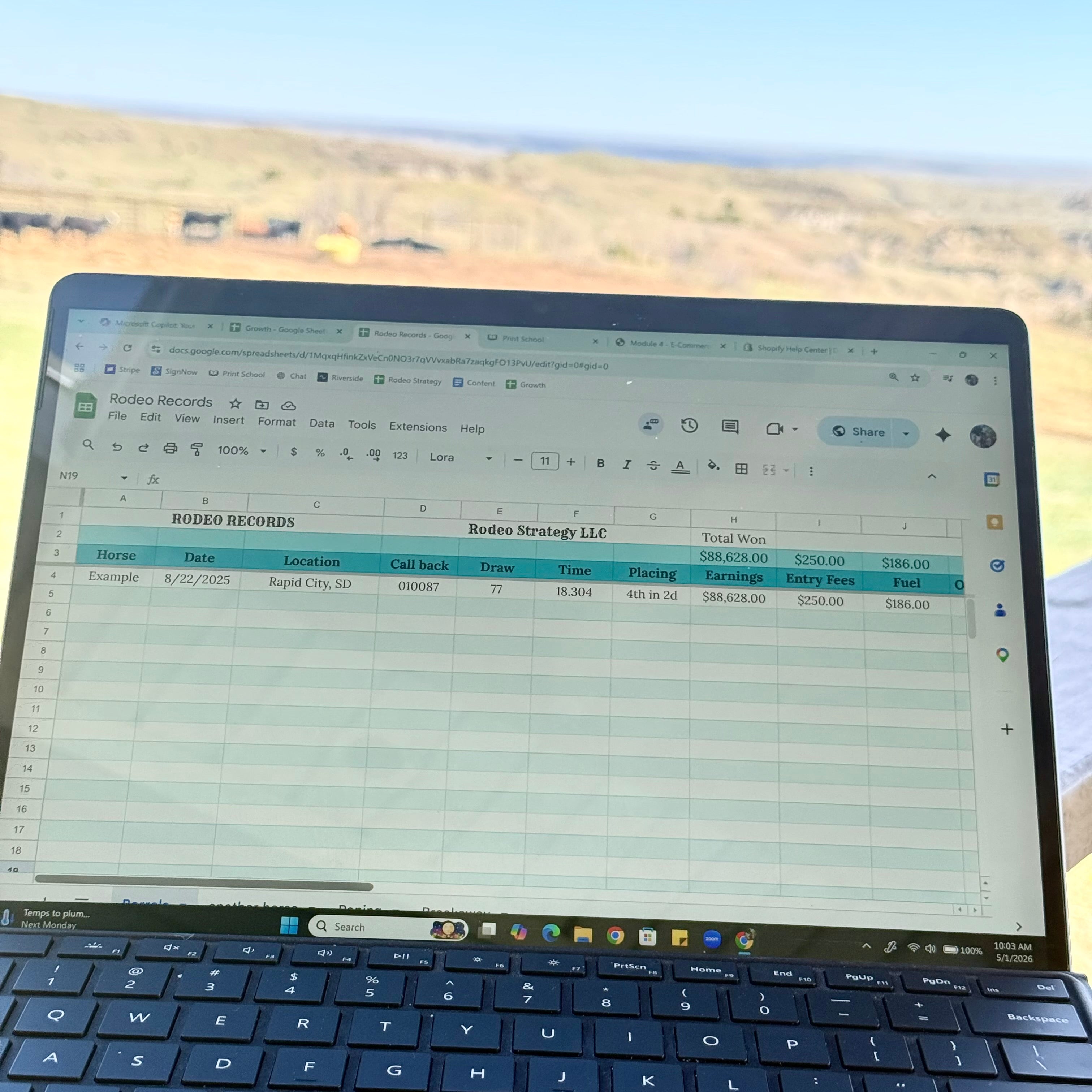 Rodeo Records | Performance & Earnings Tracker