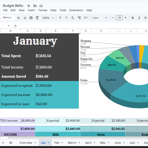 Budget Betty | Rodeo & Irregular Income Finance Tracker