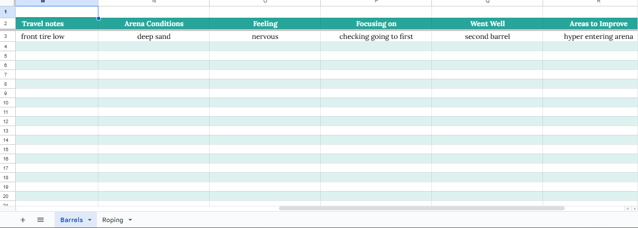 Rodeo Records Spreadsheet – Earnings, Costs & Performance Tracker (Digital Download)