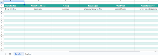 Rodeo Records Spreadsheet – Earnings, Costs & Performance Tracker (Digital Download)
