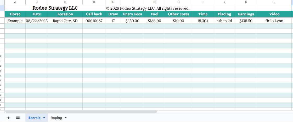 Rodeo Records Spreadsheet – Earnings, Costs & Performance Tracker (Digital Download)