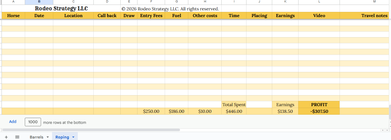 Rodeo Records Spreadsheet – Earnings, Costs & Performance Tracker (Digital Download)
