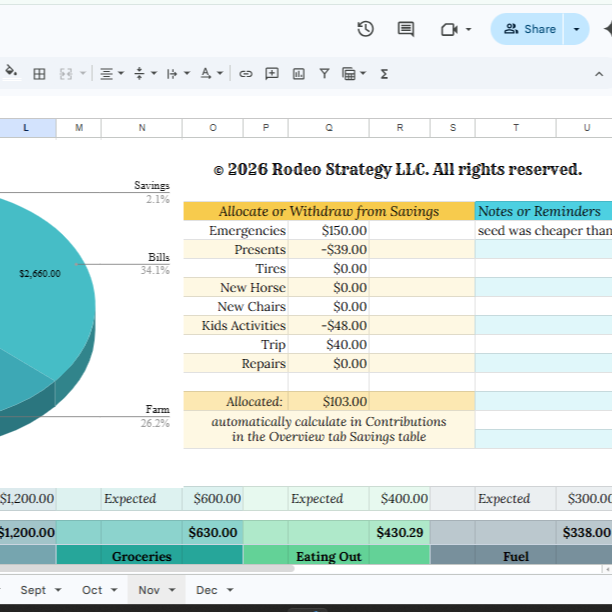 Budget Betty | Rodeo & Irregular Income Finance Tracker