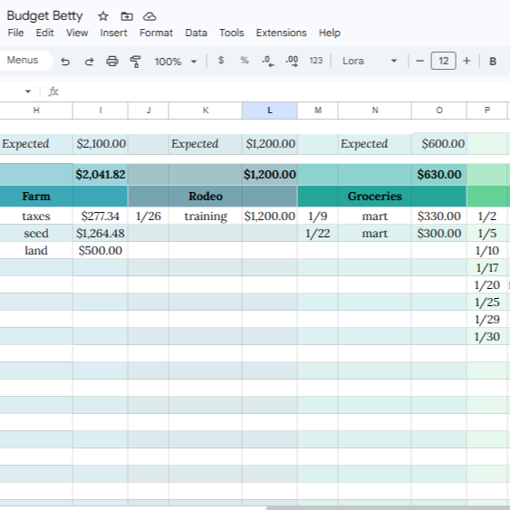 Budget Betty | Rodeo & Irregular Income Finance Tracker