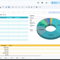 Budget Betty | Rodeo & Irregular Income Finance Tracker